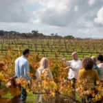 All About Margaret River Tour