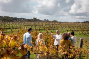 All About Margaret River Tour