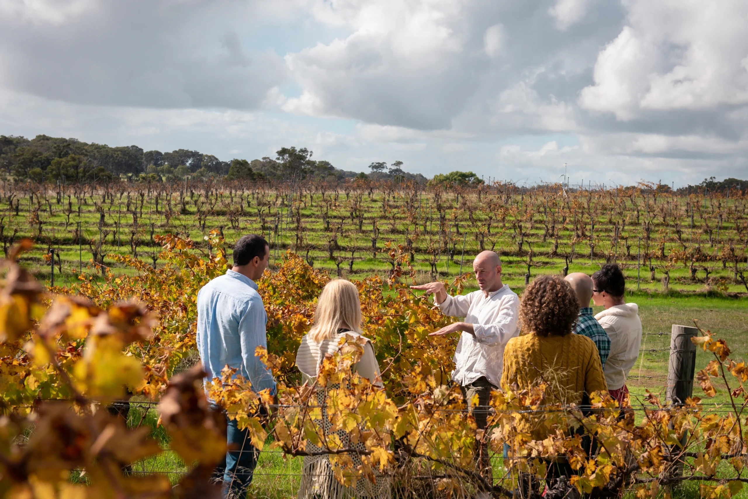 All About Margaret River Tour